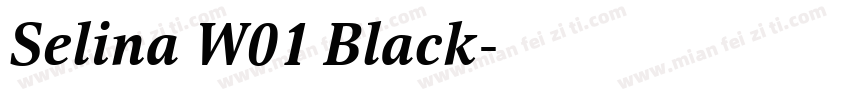Selina W01 Black字体转换